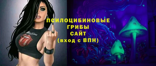 бошки Абаза