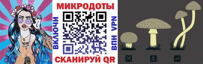магазин продажи наркотиков  Старая Русса  Псилоцибиновые грибы Psilocybine cubensis 